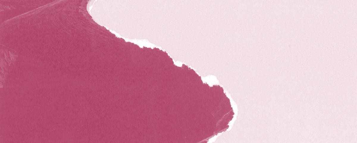 Abstract cover graphic: deep magenta and pale pink fields meeting along a jagged torn-paper edge; no text.